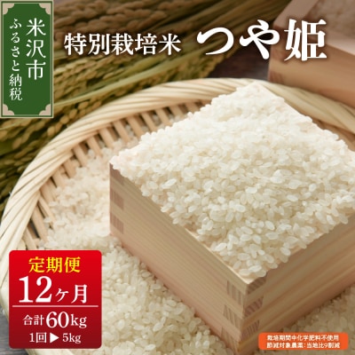 【先行予約】12ヶ月定期便 令和8年産 つや姫 5kg × 12回 計 60kg 特別栽培米