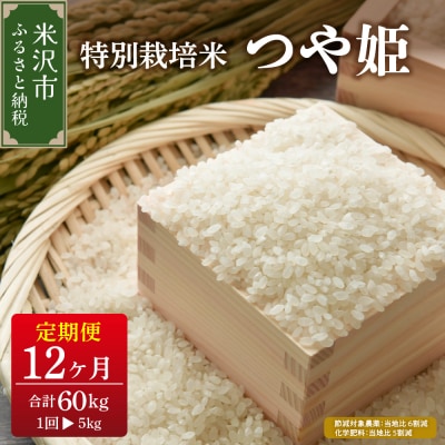 【先行予約】12ヶ月定期便 令和8年産 つや姫 5kg × 12回 計 60kg 特別栽培米