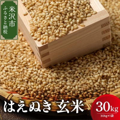 【先行予約】令和8年産 はえぬき 玄米 30kg ( 30kg × 1袋 ) 2026年産 米沢産