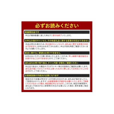 【新品】2026年2月発売NEC LAVIE Direct N16(4) ノートパソコン PC 