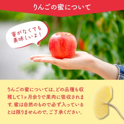 【先行予約】 令和8年産 りんご サンふじ 秀品 約2kg 5玉 ～ 8玉