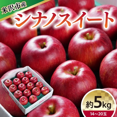 【令和8年産】 シナノスイート (りんご) 約5kg 14～20玉〔10月中旬～お届け〕