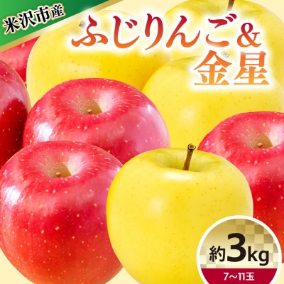 【令和8年産】 りんご 2種 詰め合わせ (ふじ 金星) 計 約3kg 〔12月上旬～お届け〕