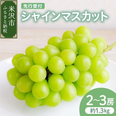 【先行予約】 【数量限定】 令和8年産 シャインマスカット 約1.3kg 2～3房
