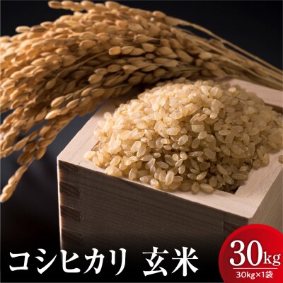【先行予約】令和8年産 新米 コシヒカリ 玄米 30kg 栽培期間農薬 化学肥料 不使用 栽培