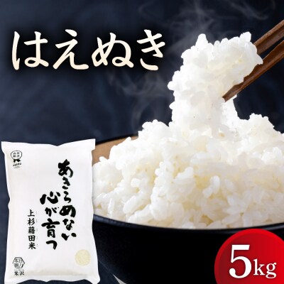 【先行予約】令和8年産 はえぬき 5kg ( 5kg × 1袋 ) 山形県米沢市
