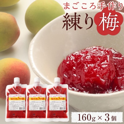【ふるさと納税】無添加 練り梅 160g × 3個 手作り 梅干 梅干し うめぼし うめ干し 塩分 