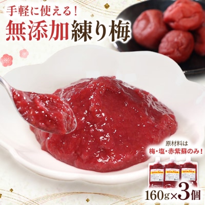 無添加 練り梅 160g × 3個 手作り 梅干 梅干し ペースト 塩分16% 宮城県 角田市