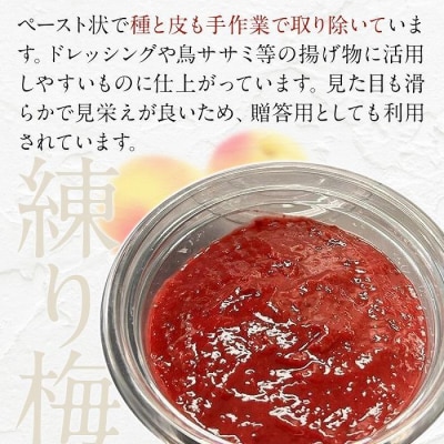 【ふるさと納税】無添加 練り梅 160g × 3個 手作り 梅干 梅干し うめぼし うめ干し 塩分 