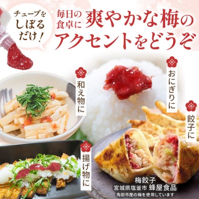 無添加 練り梅 160g × 3個 手作り 梅干 梅干し ペースト 塩分16% 宮城県 角田市