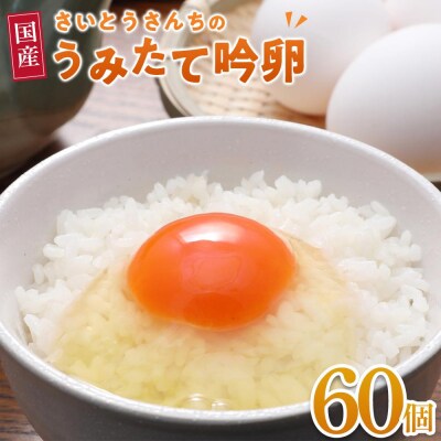 さいとうさんちのうみたて吟卵　60個入り