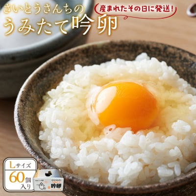 さいとうさんちのうみたて吟卵　60個入り