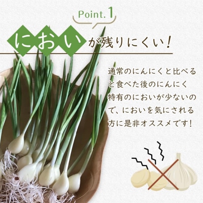 スプラウトにんにく 8片　国産ホワイト六片使用、無農薬、水耕栽培