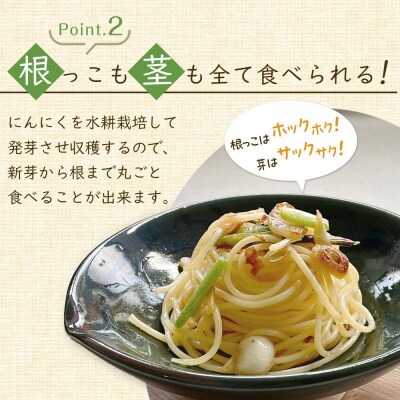 スプラウトにんにく 8片　国産ホワイト六片使用、無農薬、水耕栽培