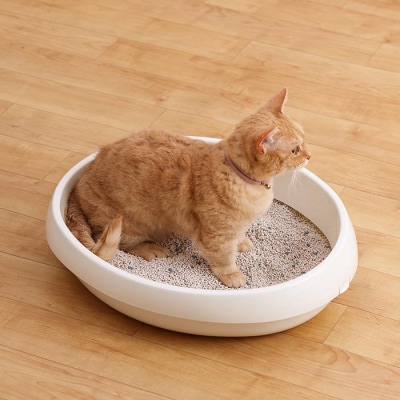 クリーンサンド 5L×4袋　20L　CLS-5L