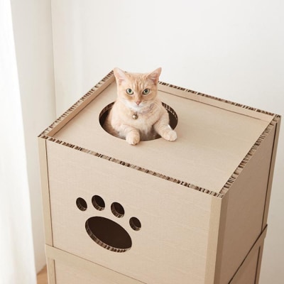 猫　ねこねこタワー　P-NT3