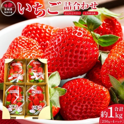 JAみやぎ仙南/宮城県角田市産いちご　にこにこベリー・とちおとめ詰合　合計約1kg:250g×4P