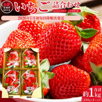 JAみやぎ仙南/宮城県角田市産いちご　にこにこベリー・とちおとめ詰合　合計約1kg:250g×4P