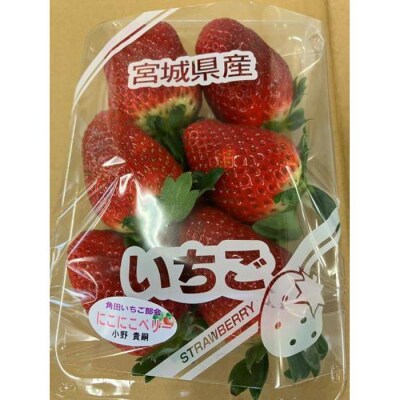 JAみやぎ仙南/宮城県角田市産いちご　にこにこベリー・とちおとめ詰合　合計約1kg:250g×4P