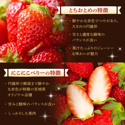 JAみやぎ仙南/宮城県角田市産いちご　にこにこベリー・とちおとめ詰合　合計約1kg:250g×4P