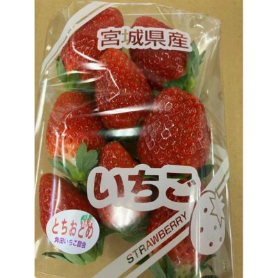 JAみやぎ仙南/宮城県角田市産いちご　にこにこベリー・とちおとめ詰合　合計約1kg:250g×4P