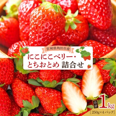 JAみやぎ仙南/宮城県角田市産いちご　にこにこベリー・とちおとめ詰合　合計約1kg:250g×4P