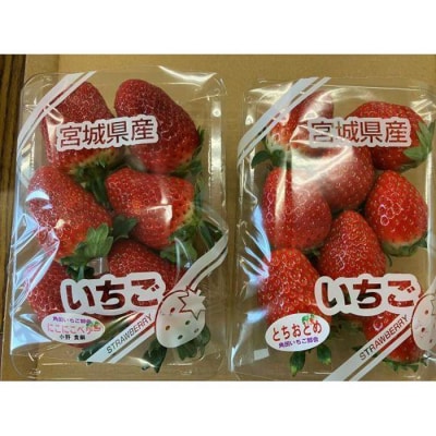 JAみやぎ仙南/宮城県角田市産いちご　にこにこベリー・とちおとめ詰合　合計約500g:250g×2P