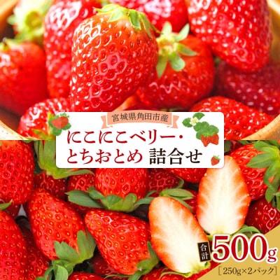 JAみやぎ仙南/宮城県角田市産いちご　にこにこベリー・とちおとめ詰合　合計約500g:250g×2P