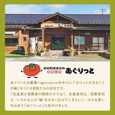 角田市名産「秘伝豆」 ずんだ餡(冷凍)300g×3袋