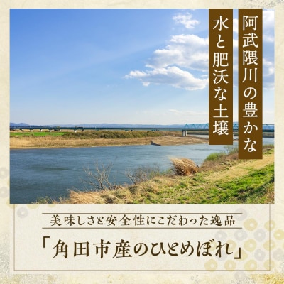 【令和6年産】無洗米 ひとめぼれ5kg×1　みやぎの米　コメ