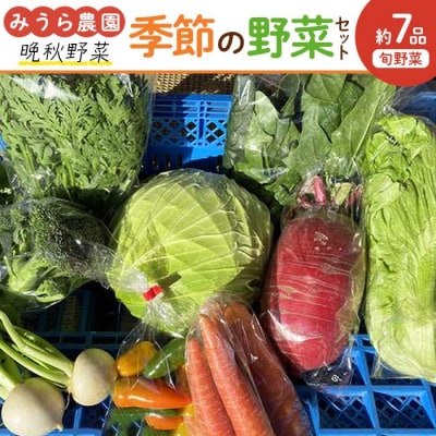 【2026年発送分先行予約】みうら農園 季節の野菜セット おまかせ7品(晩秋野菜)【2026年10月