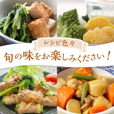 【2026年発送分先行予約】みうら農園 季節の野菜セット おまかせ7品(晩秋野菜)