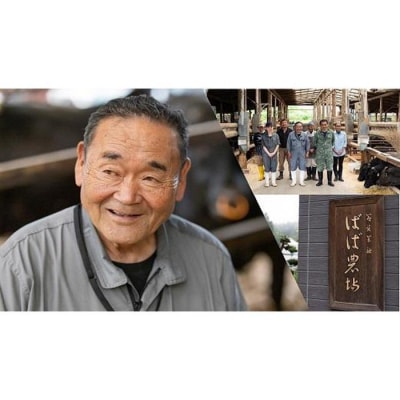 【馬場牛】宮城県産黒毛和牛 切り落とし 500g(500g×1)