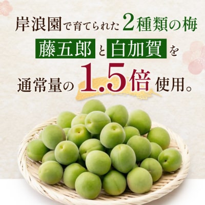 【宮城県角田市の梅酒】岸浪園の梅酒　青梅　720ml×1本