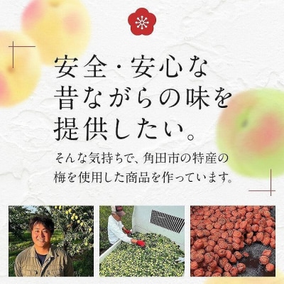 【先行予約】まごころ手作り梅干し(270g)・練り梅(160g)セット10月上旬以降順次発送