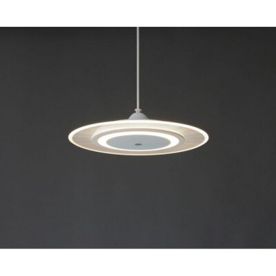 照明 LEDペンダントライト パネルライト 温白色 PLP6D-WW ホワイト