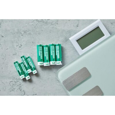 乾電池 BIGCAPA basic plus アルカリ乾電池  単3形4本パック LR6Bbp/4S