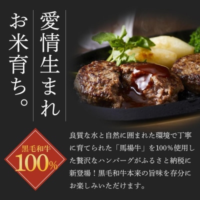 【馬場牛】宮城県産黒毛和牛100%プレミアムハンバーグ+ローストビーフ 合計1.6kgセット