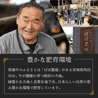 【馬場牛】宮城県産黒毛和牛100%プレミアムハンバーグ+ローストビーフ 合計1.6kgセット