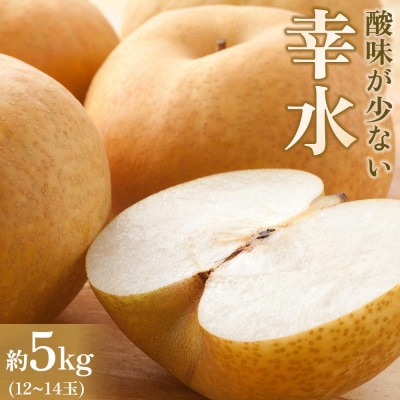 【馬場果樹園】梨「幸水」約5kg(10～16玉入)8月中旬～順次発送