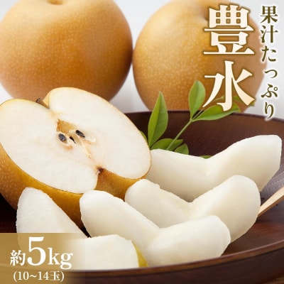 【馬場果樹園】梨「豊水」約5kg(8～14玉入)9月初旬～順次発送
