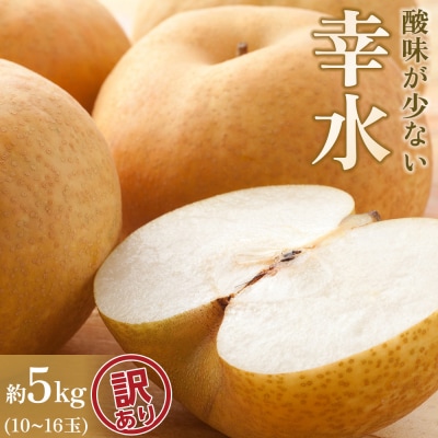 【2026年先行予約/訳あり】【馬場果樹園】梨「幸水」約5kg(10～16玉入)8月中旬～順次発送
