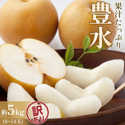 【訳あり】【馬場果樹園】梨「豊水」約5kg(8～14玉入)　順次発送