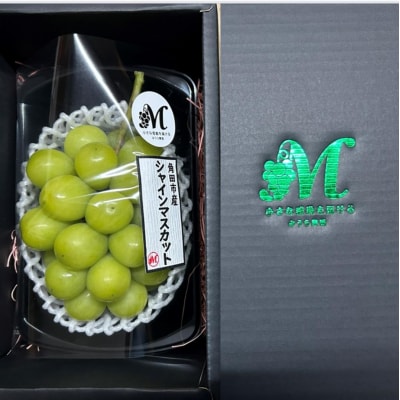 【2026年発送分先行予約】シャインマスカット 1房(約500～600g)【2026年9月上旬以降順