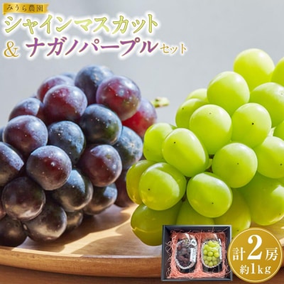 【2026年発送分先行予約】シャインマスカット/ナガノパープル セット(各1房・計2房 約1kg)【