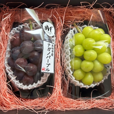 【2026年発送分先行予約】シャインマスカット/ナガノパープル セット(各1房・計2房 約1kg)【