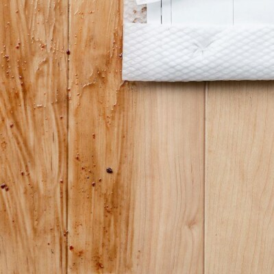 【40枚入り×10個】フローリングワイパー用シート ウェットタイプ 40枚入 DN-FW401P