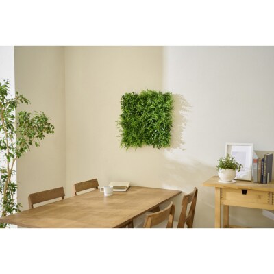 DECO GREEN ウォールパネル WG-50A アジアンタム 3個セット