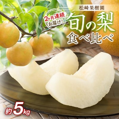 2ヶ月連続お届け 旬の梨食べ比べ 約5kg【松崎果樹園】