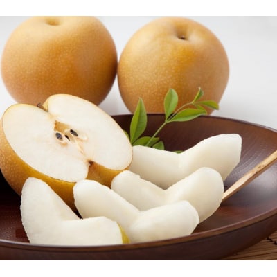 【2026年発送/先行予約】梨 2ヶ月連続お届け 旬の梨食べ比べ 約5kg【松崎果樹園】